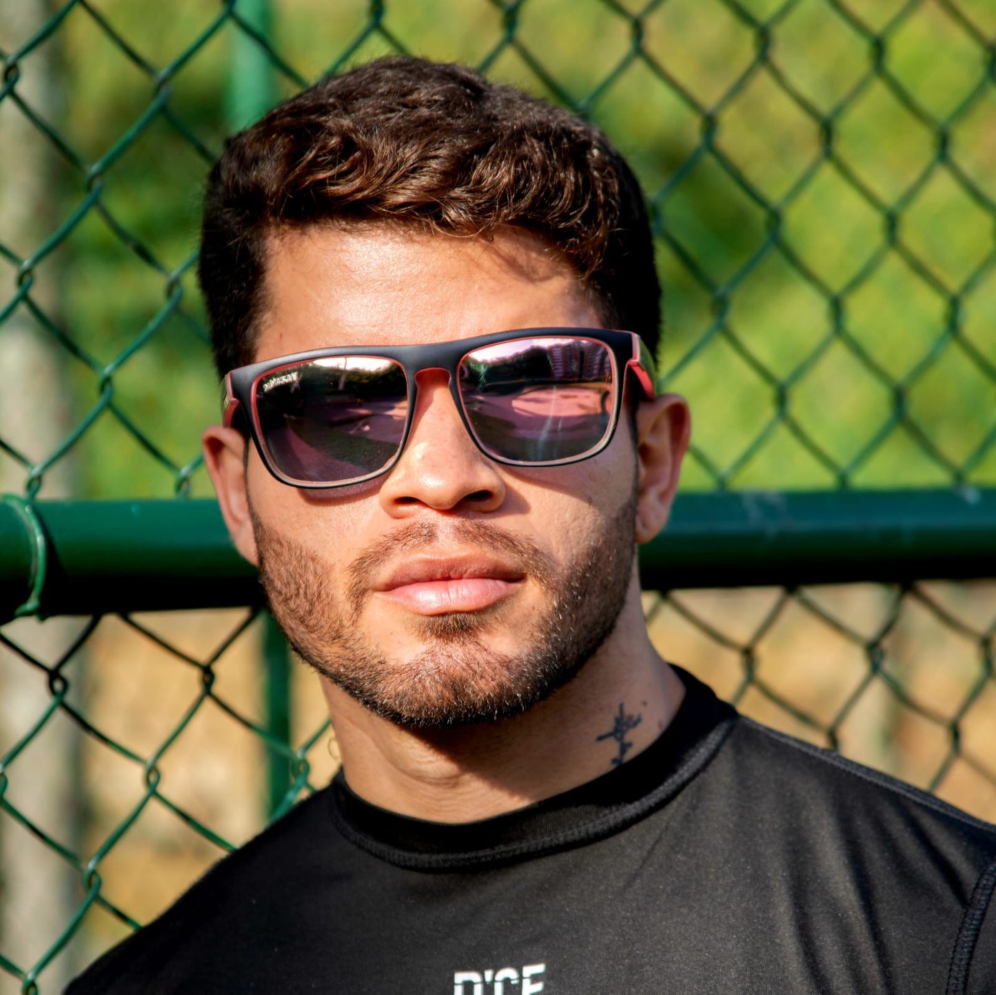 Asteroid VULCAN - rosa